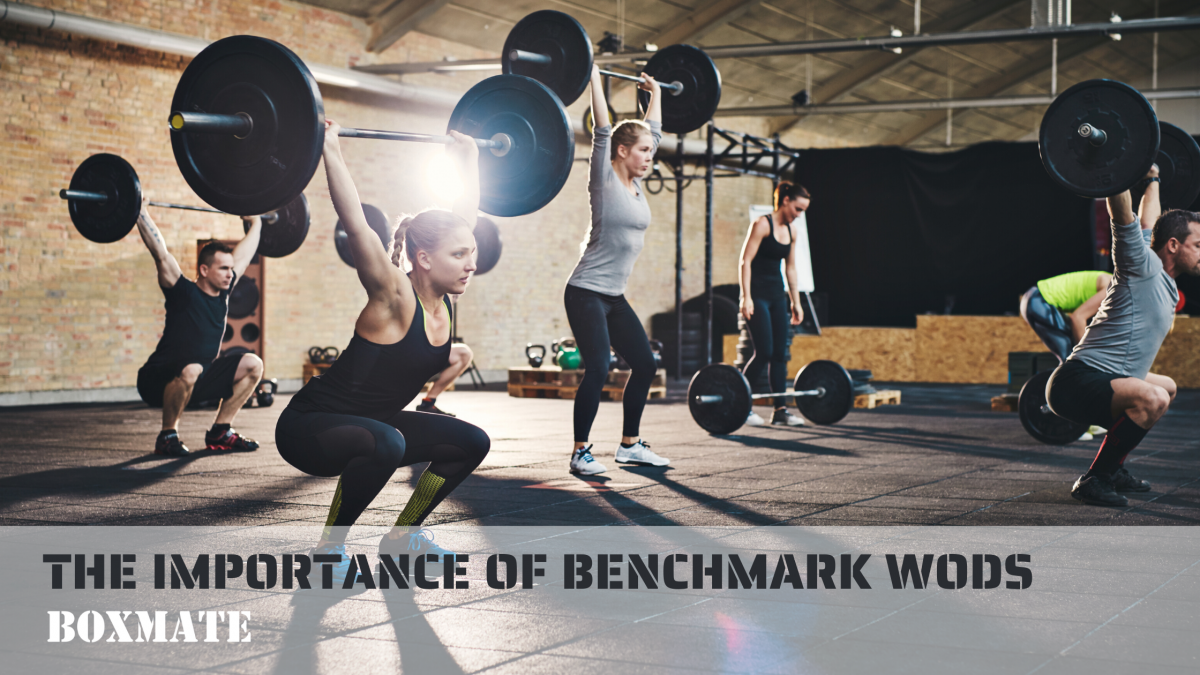 Why Do We Do Benchmark WODs?