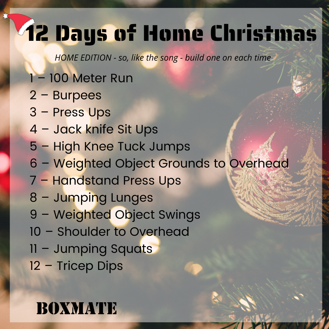 12 Days of Christmas Workout